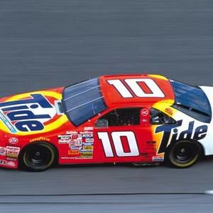 Meet your Posher, Steve